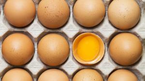 Яйця з фіпронілом виявлено в 17 країнах
