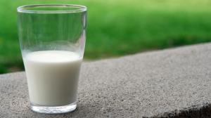 В Україні виробляється 7% молока екстра-ґатунку від загального об’єму