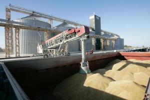 Морські порти України збільшили перевалку зерна на 13%