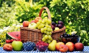 Нідерландська компанія купуватиме в Україні ягоди та овочі 