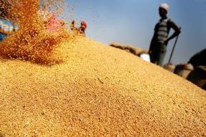 На користь Росії: Україна може втратити єгипетський ринок пшениці 