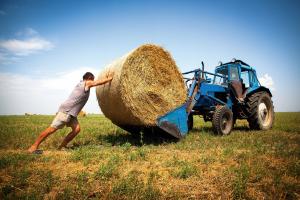 Уряд показав концепцію розвитку фермерства до 2020 року — офіційний документ