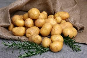 Україна нарощує експорт картоплі