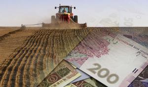 Яким чином розподілятимуть фінансову підтримку фермерським господарствам?
