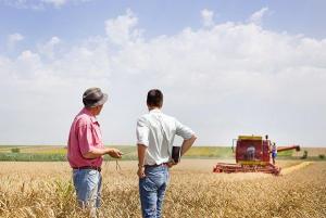 Колишні трейдери Louis Dreyfus планують відкрити зернову компанію в Україні