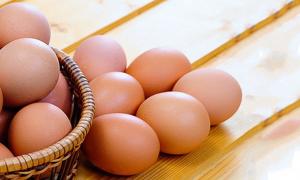Україна експортувала яєць майже на 44 мільйони доларів