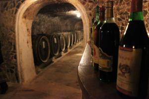 Україна втрачає виноробну галузь