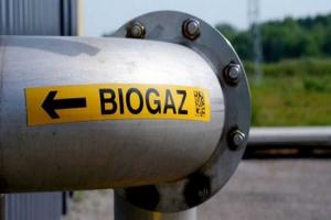 Після 2020 року розвиток біогазу в Україні може припинитися
