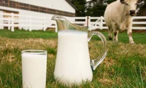 Названо основних покупців української молочки 