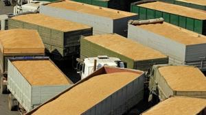 USDA підвищило прогноз експорту зерна з України
