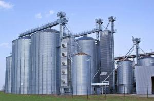 Нові зернові елеватори запрацюють на Львівщині