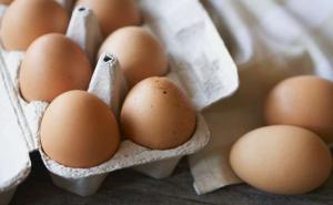 Україна наростила експорт яєць і м'яса птиці