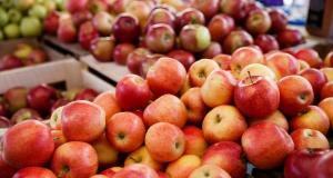Яким буде цей сезон для виробників яблук