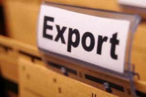 Дві групи харчових товарів демонструють зростання експортних поставок — ДФСУ