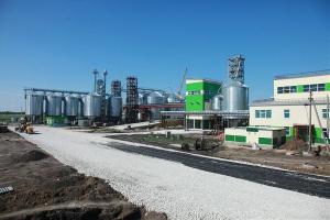 На Житомирщині побудовано новий насіннєвий завод
