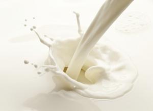 У 2017 році якість молока, закупленого в промислових господарствах, зросла
