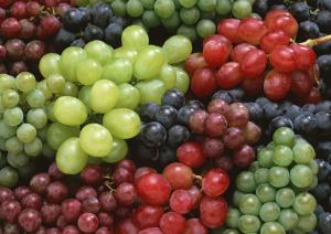 На Херсонщині очікують рекордного урожаю винограду