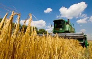 Держдотації потрібно давати дрібним сільгоспвиробникам, а не агроолігархам, – УКРОП 