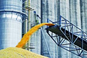 Нова «зернова» інструкція для елеваторів досі не готова, — Держпродспоживслужба