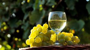 Основним постачальником вина в Україну стала Італія