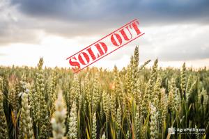 Цьогоріч на земельних торгах продали більше сільгоспугідь, ніж за півроку 2017-го