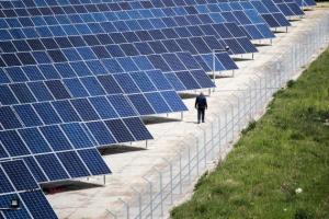 На Львівщині відкрили потужну сонячну електростанцію