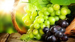Вчені з України вивели нові сорти винограду для виготовлення вин