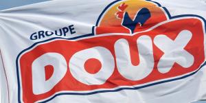 Французькі профспілки підтримали заявку конкурентів МХП на придбання Doux