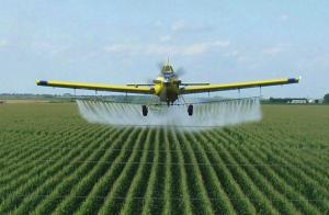 ООН виділила $230 тис. на боротьбу з незаконним обігом пестицидів на Закарпатті