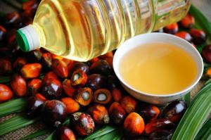 Заборона пальмової олії призведе до зростання цін на продукти харчування, – Іван Мірошніченко