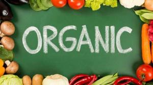В Україні створили банк компаній ТОП Organic, які займаються органічним землеробством
