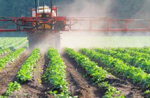 Україну хочуть перетворити на територію споживання пестицидів, які заборонено в світі