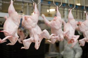 Україна очолила рейтинг країн із найдоступнішими цінами на курятину