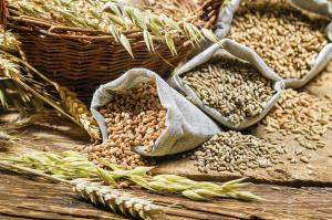 Індонезія – лідер-імпортер українських зернових