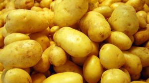 На Херсонщині оформили першу «картопляну» розписку