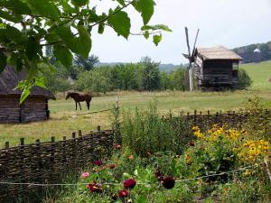 Вимирання сіл в Україні можна зупинити відміною мораторію на землю, — експерт 