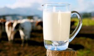 В Україні вперше оформили розписку під заставу молока