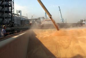 З анексованого Криму вивозять зерно до Сирії 