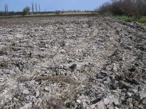 Світове товариство занепокоєне проблемами українських ґрунтів