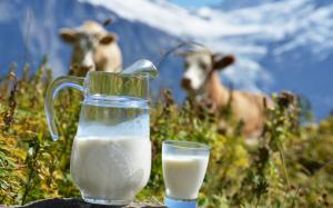 З 1 липня Україна відмовилася від молока другого сорту 