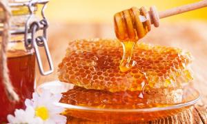 Херсонщина має намір розвивати промислове виробництво меду, – ОДА 