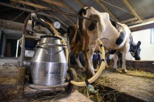 Молочний завод «Укрпродукт» визнає борг перед фермерами, але платити не поспішає