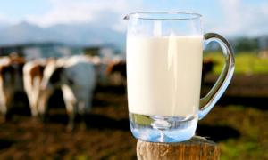 Діяльність «фейкових» молокозаводів перевірить Держпродспоживслужба 