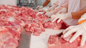 На продовольчих ринках України студенти аграрних вузів перевірять свинину на «африканку», – АСУ 