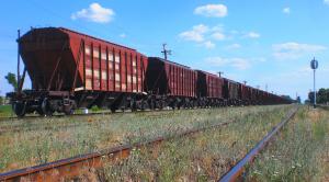 В Україні провели дослідження ринку вагонів-зерновозів на замовлення для одного із ABCD трейдерів