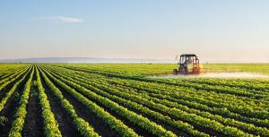 Законопроект, який дозволяє ввіз пестицидів без реєстрації, поглибить дерегуляцію на ринку, – експерт   