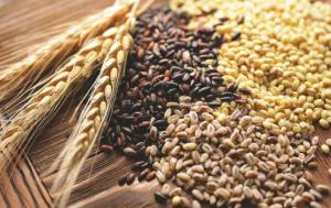 Реалізація зернових у Китай зросла майже на 40%, – ДПЗКУ