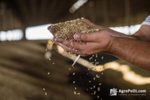 Три «правки» бізнесу до зернового меморандуму Максима Мартинюка