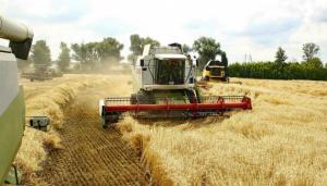Фонд держмайна скасував наказ про приватизацію Державної зернової корпорації