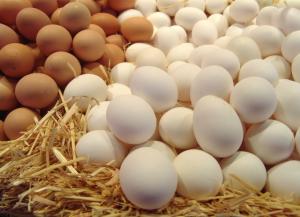 В Україні рекордно зріс експорт яєць – Мінагрополітики